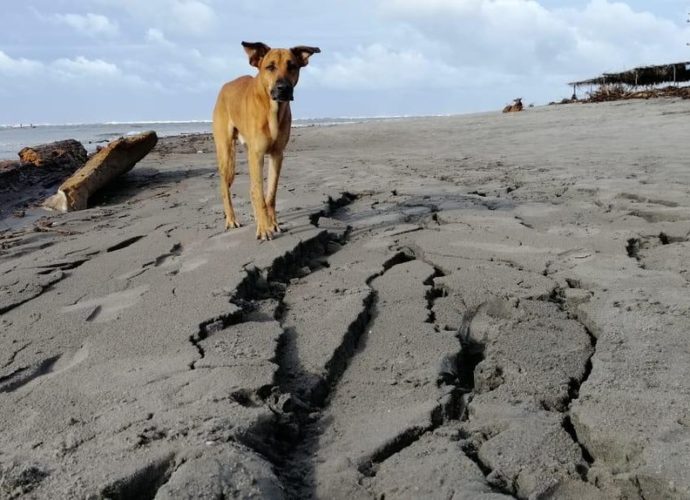 Sismo registrado durante la madrugada deja grietas en playa de El Salvador