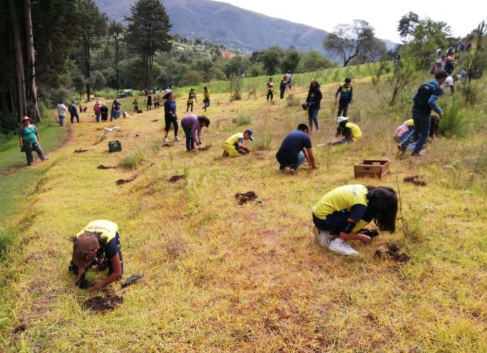 Reforestan área de Quetzaltenango con dos mil árboles