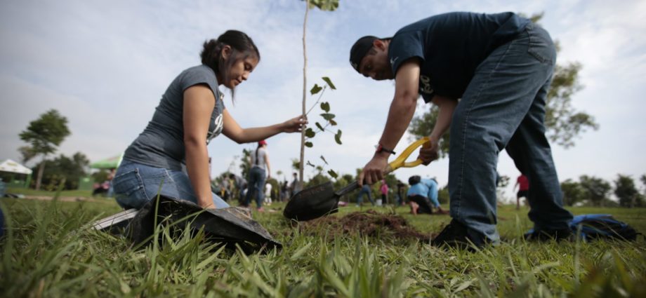 Campaña de reforestación busca plantar seis millones de árboles en la región de GuateMaya y Centroamérica