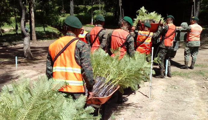 Ejercito de Guatemala realiza jornadas de reforestación