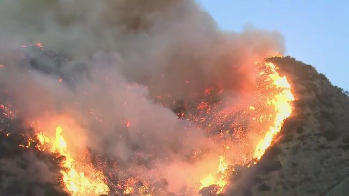 Incendio forestal consume hectáreas de bosques e inmuebles en Los Ángeles, California