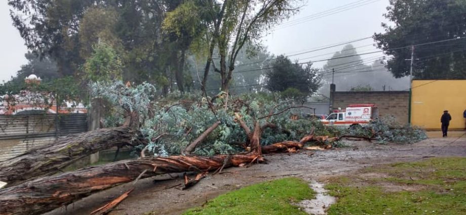 Fuertes lluvias derriban árboles en San Lucas Sacatepéquez