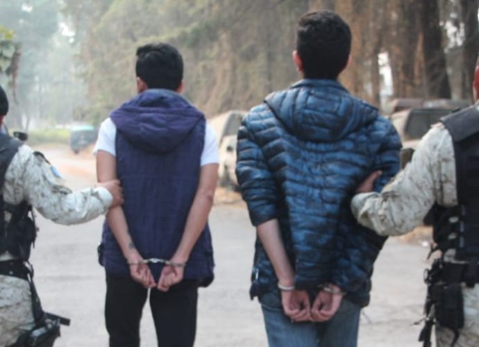 Capturan a mexicanos por transportar de manera ilegal especies en peligro de extinción