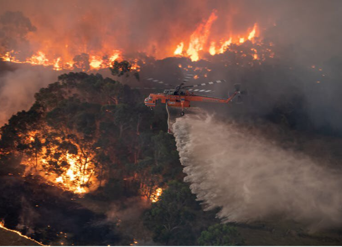 Continúan los incontrolables incendios forestales en Australia