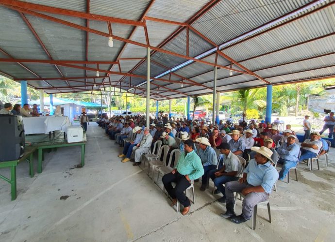 MAGA presenta plan de exportación de ganado hacia México en Petén
