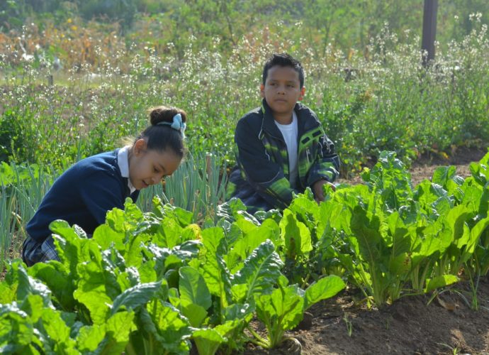 MAGA inaugura el programa de HuertoEscolares 2020