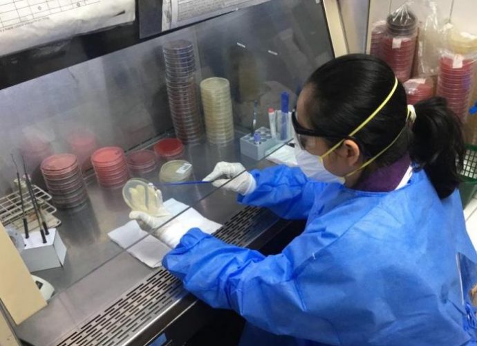 FUNDESA apoya al Ministerio de Salud con la compra de pruebas contra el coronavirus