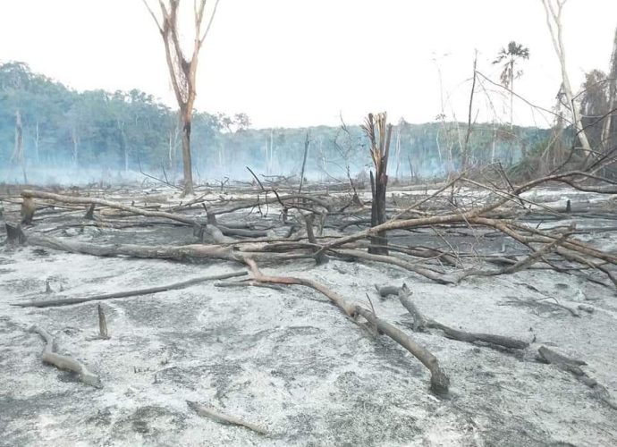 Incendio pone en riesgo el sitio arqueológico Yaxhá