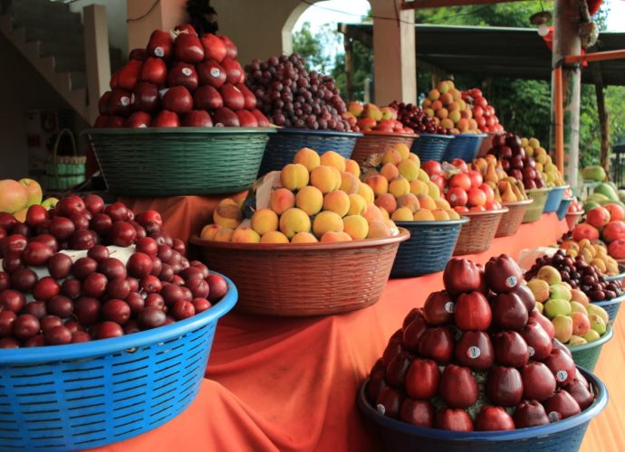 MAGA invita a consumir frutas