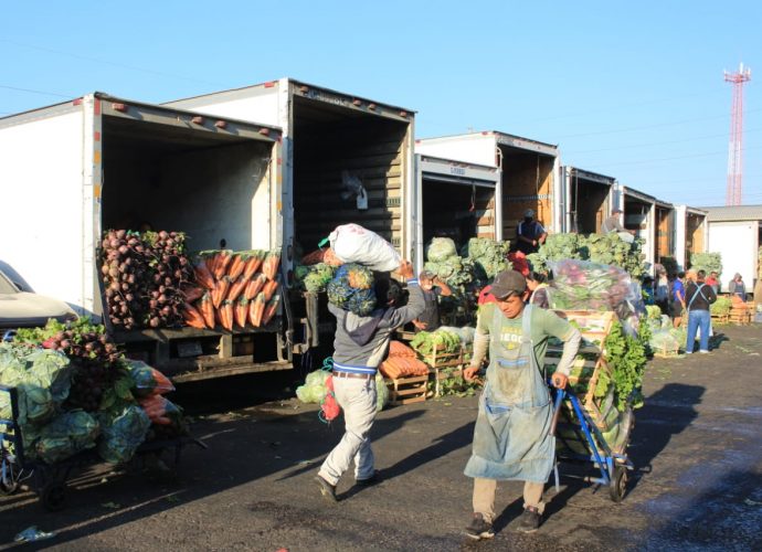 Ministros de Agricultura de América Latina se unen para garantizar producción de alimentos