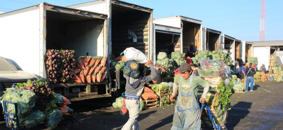 Ministros de Agricultura de América Latina se unen para garantizar producción de alimentos