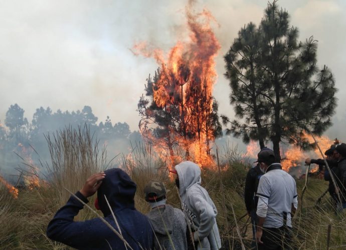 Incendios forestales son provocados de manera intencionada
