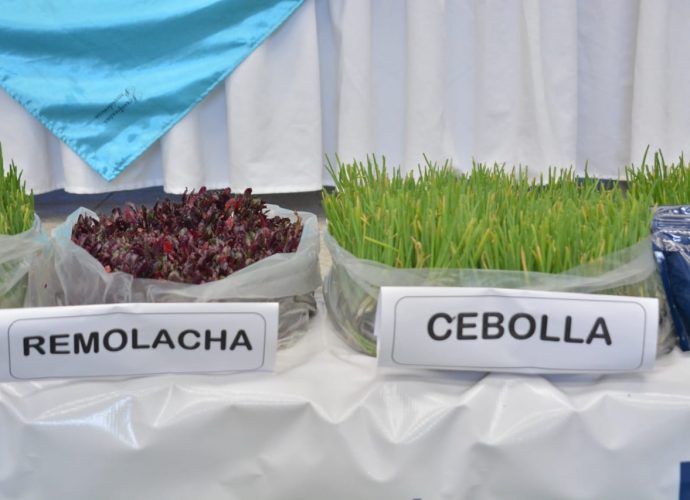 Gobierno implementa huertos urbanos en Chimaltenango