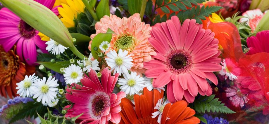 Floricultores guatemaltecos comparten color y belleza para darle esperanza a Guatemala