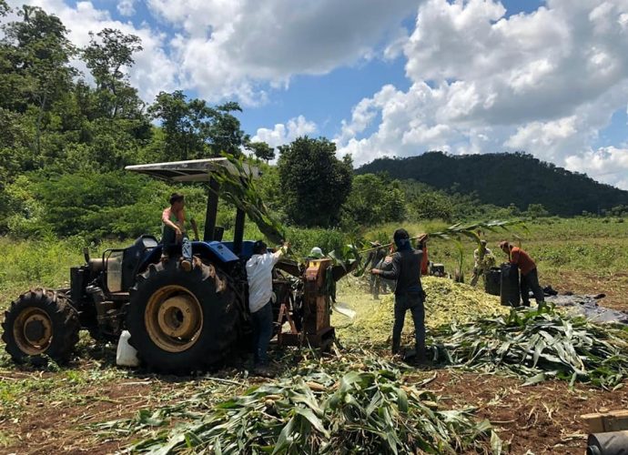 Maga intensifica apoyo técnico a productos de Petén