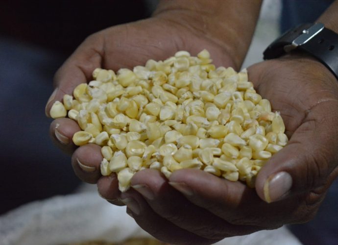 Familias vulnerables recibirán apoyo alimentario