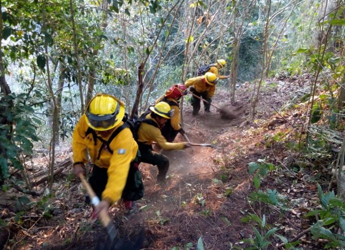 CONRED emplea acciones en conjunto con diferentes instituciones, para controlar incendios activos en el país