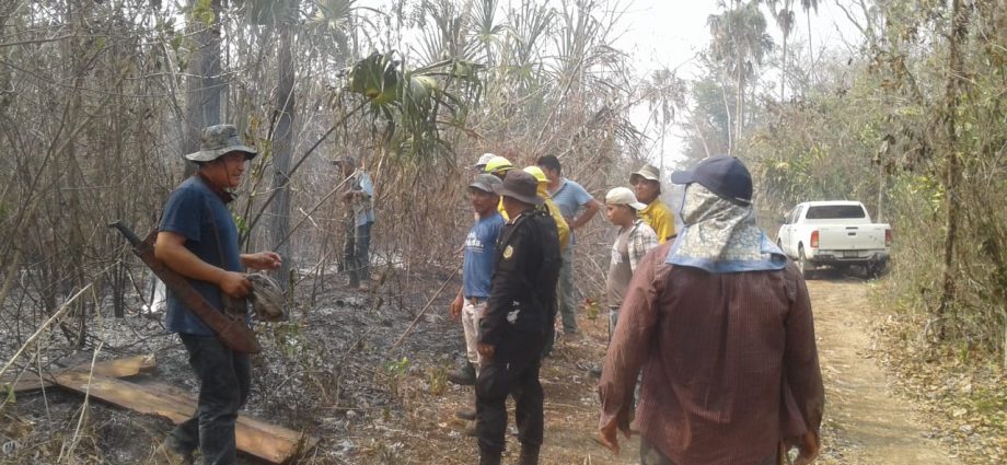 Más de 600 brigadistas trabajan en el combate de 26  incendios forestales en Petén