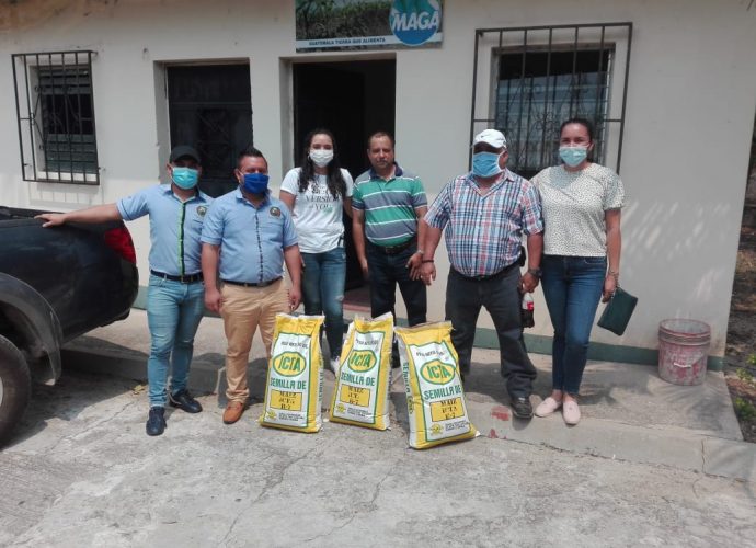 Productores de Jutiapa reciben semilla de maíz biofortificada