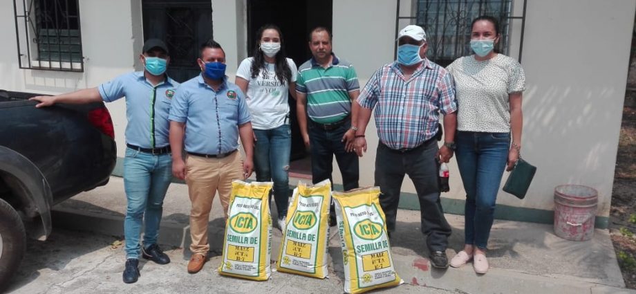 Productores de Jutiapa reciben semilla de maíz biofortificada