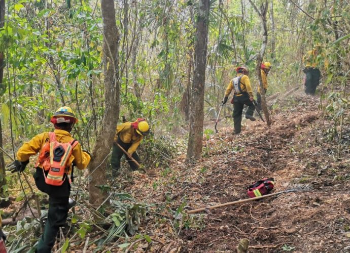 Continúan acciones para combatir 20 incendios forestales en Santa Rosa y Petén