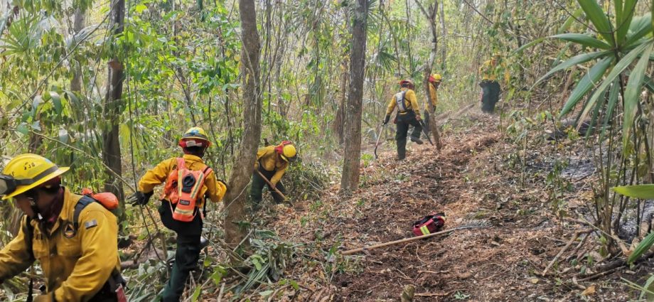 Continúan acciones para combatir 20 incendios forestales en Santa Rosa y Petén