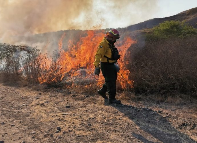 Más de mil incendios forestales y no forestales han sido combatidos por las instituciones del sistema CONRED en la temporada 2019-2020