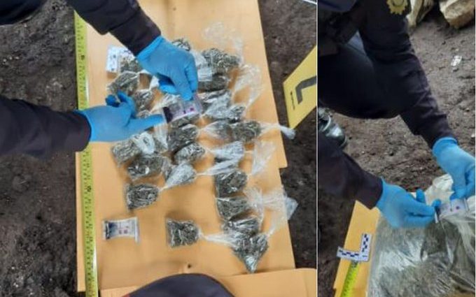 Localizan marihuana durante allanamiento en Petén
