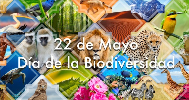 Celebran la biodiversidad biológica con el lema “Nuestras soluciones están en la naturaleza”