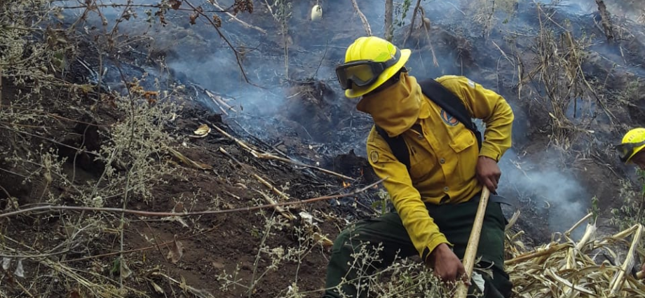 11 incendios forestales se reportan en este inicio de semana