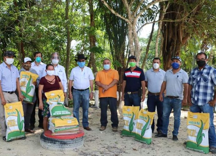 MAGA entrega semillas certificadas en Petén