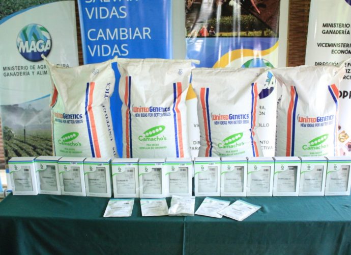 MAGA recibe donación de semillas para apoyar a agricultores ante la emergencia de la COVID-19
