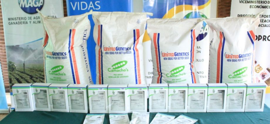 MAGA recibe donación de semillas para apoyar a agricultores ante la emergencia de la COVID-19