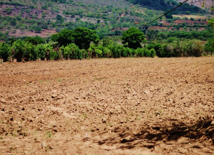 Acciones del MARN contribuyen a enfrentar la canícula