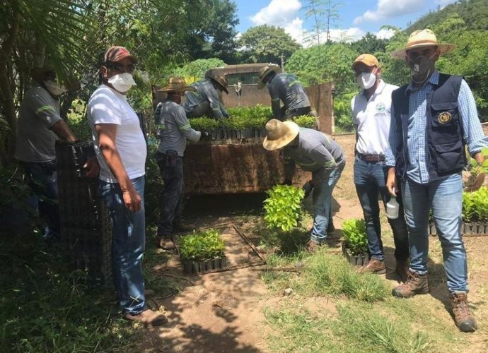 Inauguran proyecto de reforestación en El Progreso