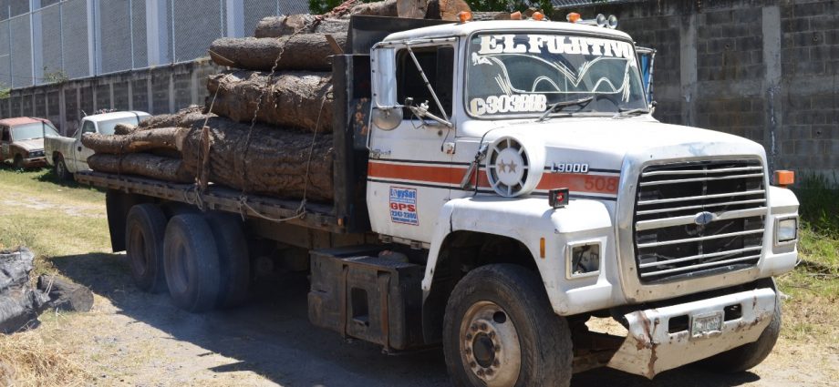 INAB actualiza Reglamento de Transporte de Productos Forestales
