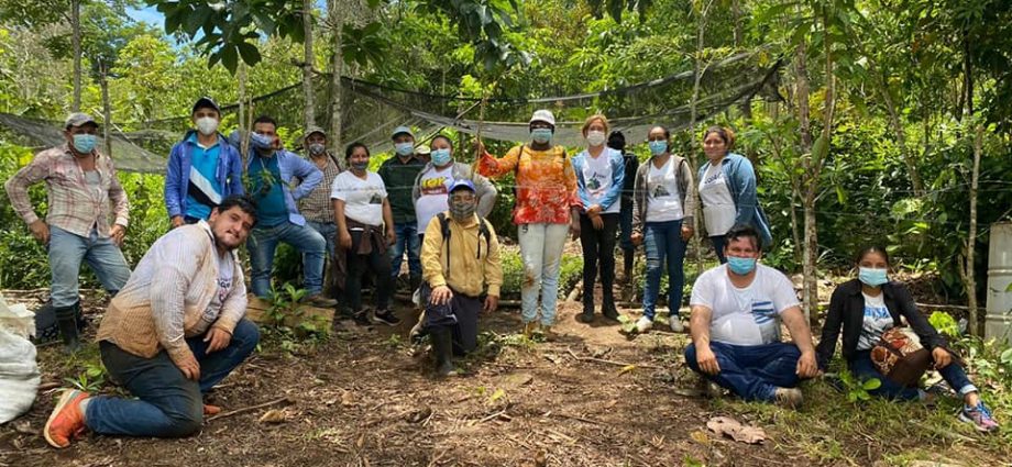 MARN impulsa la conservación de los bosques del país con jornadas de reforestación