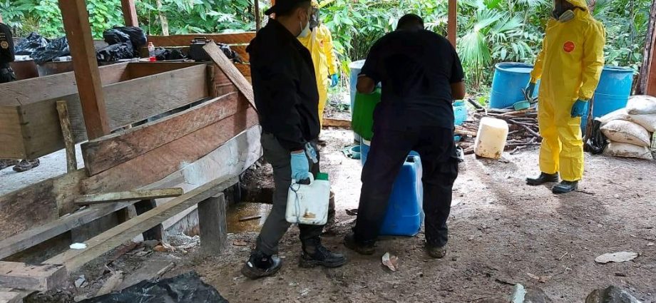 Erradican más de 210 mil plantas de coca y destruyen un narcolaboratorio en operativo realizado en Petén