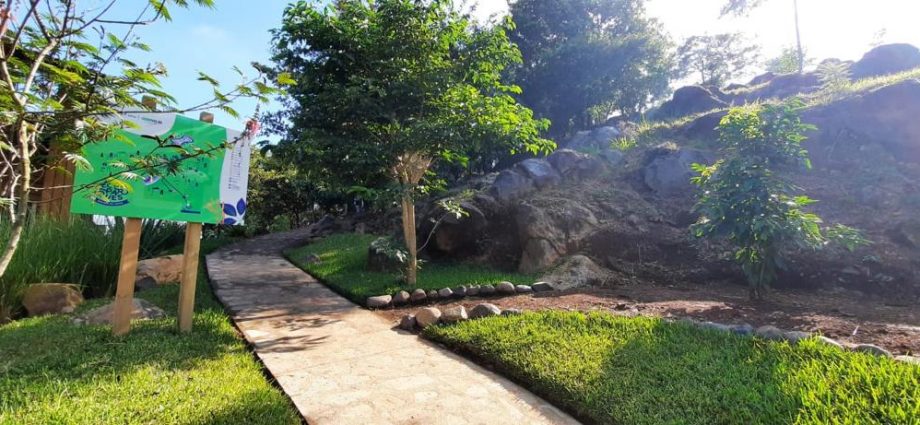 MuniGuate habilita Parque Ecológico Pinares