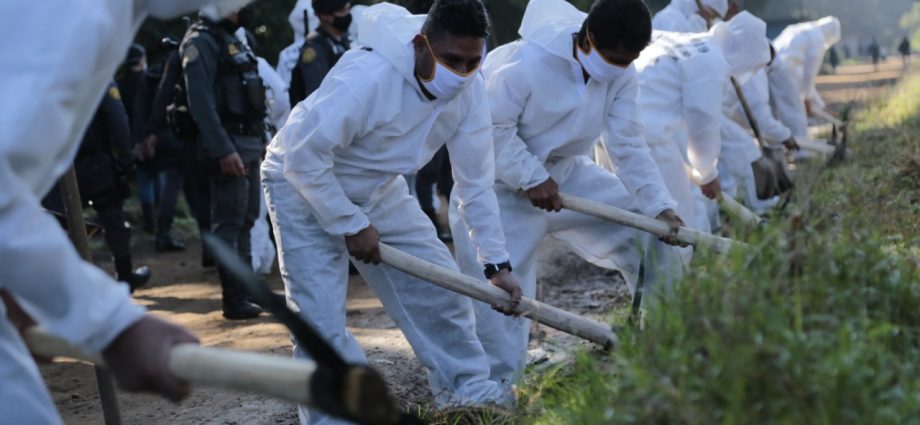 Reos de la Granja Penal Pavón realizan trabajos voluntarios
