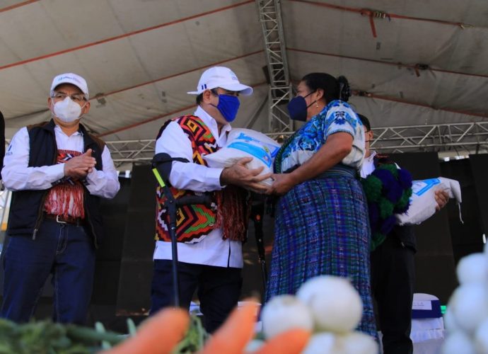 Semilla fortificada llega a Almolonga, Quetzaltenango y San Antonio Ilotenango, Quiche? para fortalecer la nutrición