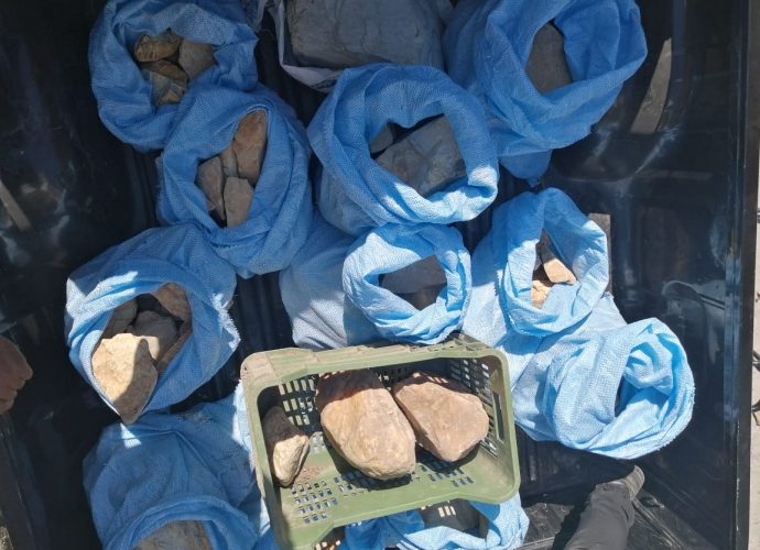 Allanamientos en Izabal: Cinco capturados, armas, drogas, dinero y más incautados
