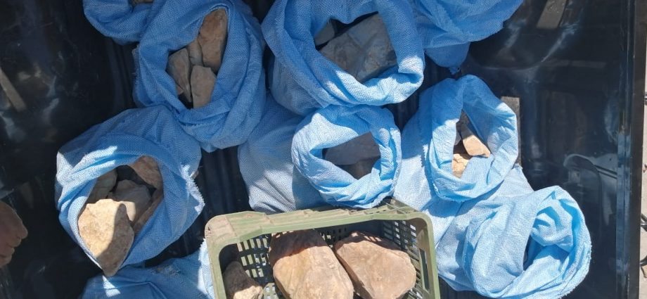 Allanamientos en Izabal: Cinco capturados, armas, drogas, dinero y más incautados