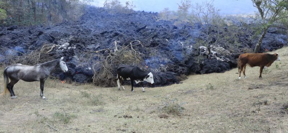 MAGA verifica efectos en el sector agropecuario por actividad del volcán de Pacaya
