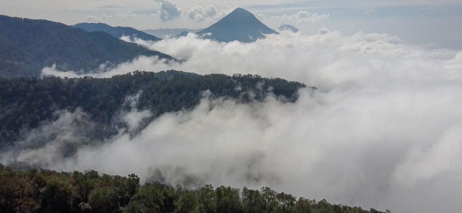 Acciones del Gobierno de Guatemala para el resguardo y protección de la madre tierra