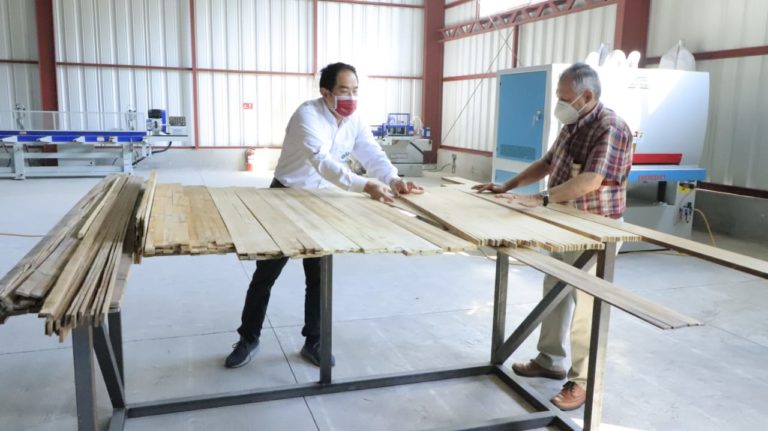 Industrialización del bambú avanza en Guatemala