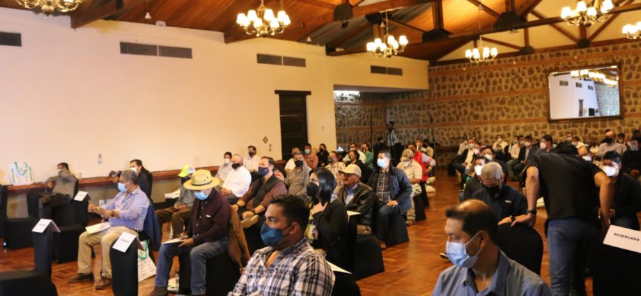 Congreso Nacional de Aguacate permite incursión en mercados internacionales