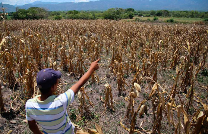 Familias del corredor seco son beneficiadas con proyectos de microriego