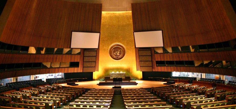 Presidente Giammattei y canciller Brolo participarán en Asamblea General de la ONU