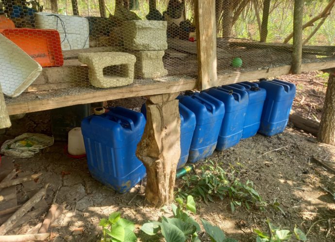 Localizan narcolaboratorio y plantaciones de coca en San Luis, Petén